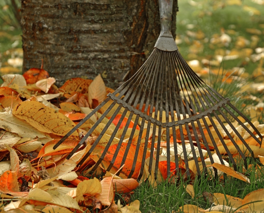 Ramassage des feuilles à l'automne, service à la personne entretien de jardin